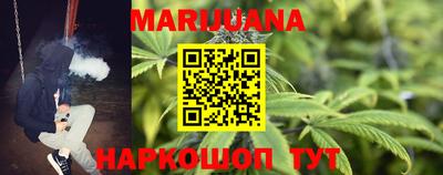 крисы Кунгур
