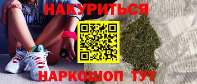 крисы Кунгур